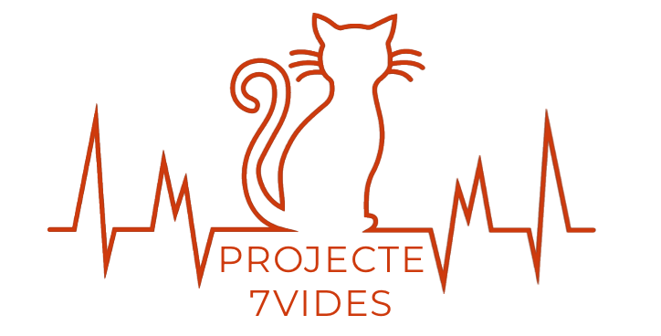 Projecte7Vides